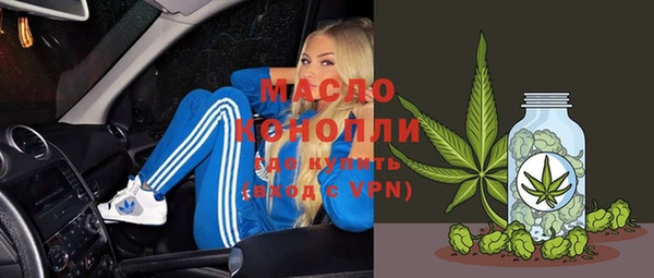индика Нязепетровск