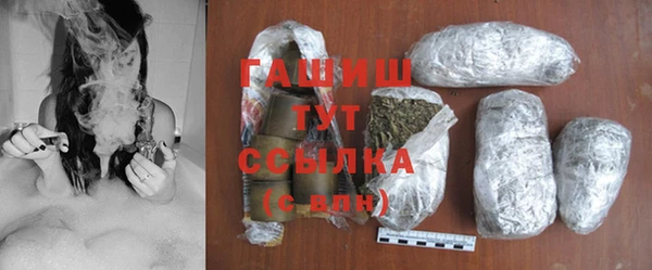 индика Нязепетровск