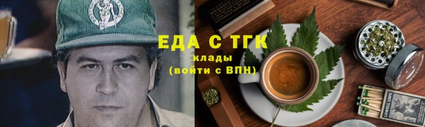 индика Нязепетровск