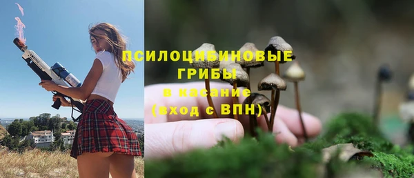сатива Няндома