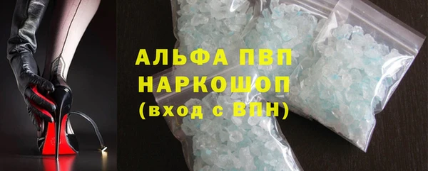 сатива Няндома