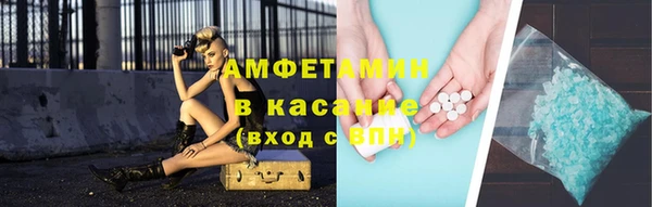 сатива Няндома