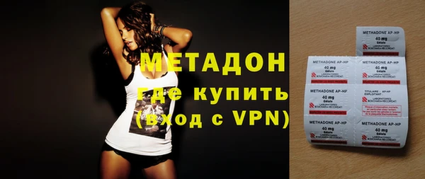 сатива Няндома