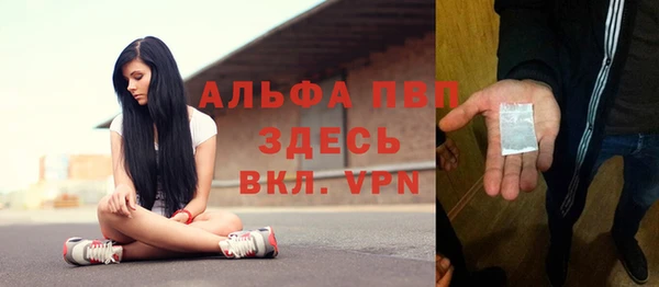 сатива Няндома