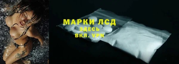 сатива Няндома