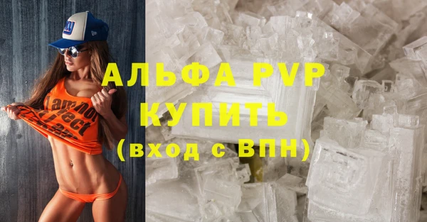 индика Нязепетровск
