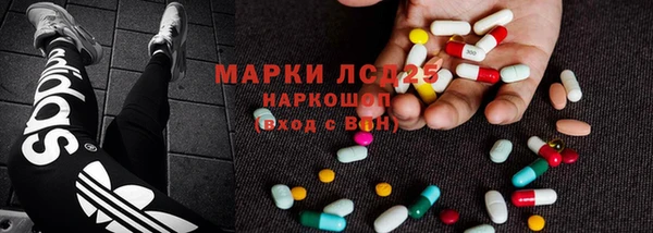 индика Нязепетровск
