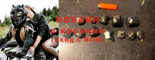 индика Нязепетровск