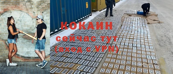 сатива Няндома