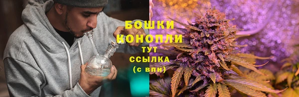 сатива Няндома