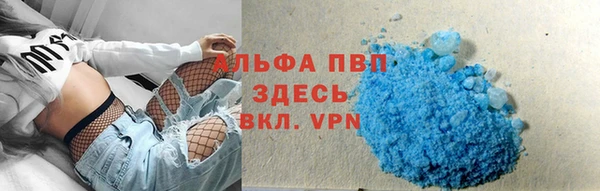 сатива Няндома